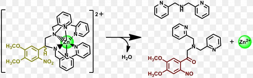 Organic Chemistry 고분자화합물 Molecule Chemical Compound, PNG, 1936x601px, Watercolor, Cartoon, Flower, Frame, Heart Download Free