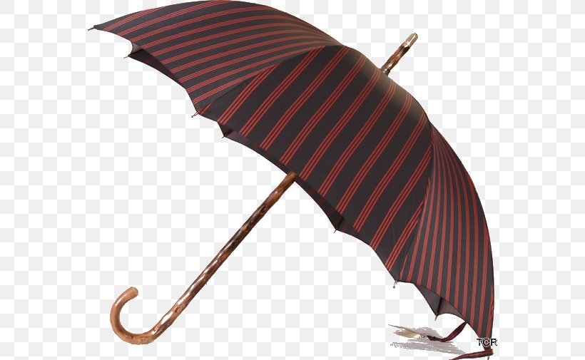 Umbrella Clothing Accessories Piganiol Parapluies Leather, PNG, 574x505px, Umbrella, Bag, Beslistnl, Button, Clothing Download Free