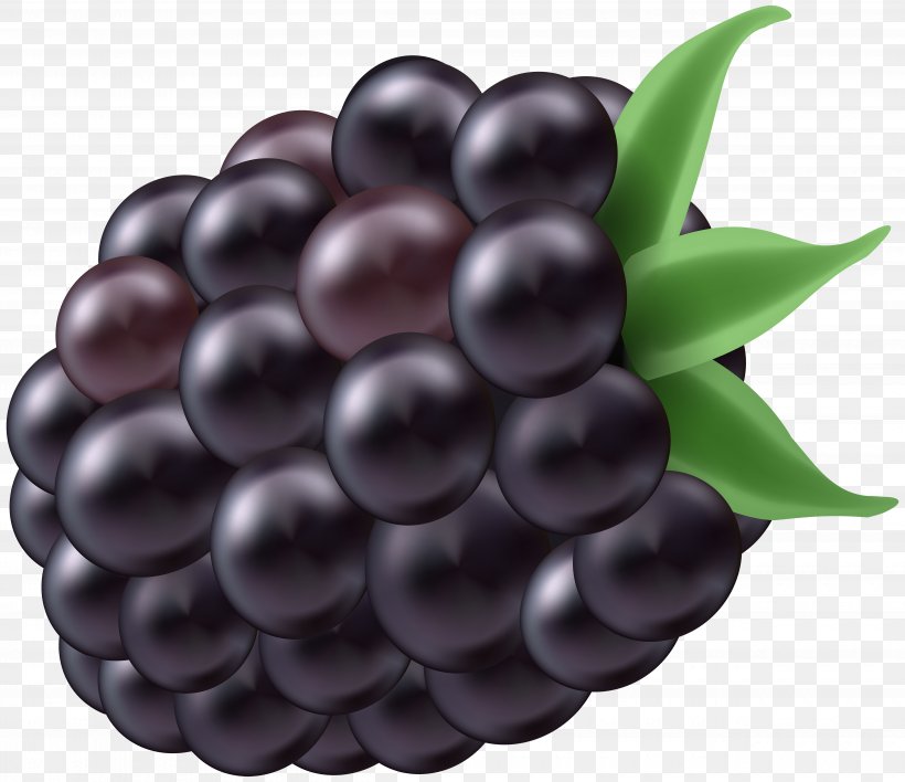 BlackBerry Z3 Clip Art, PNG, 5000x4322px, Blackberry Dtek60, Berry, Blackberry, Blackberry Dtek50, Food Download Free