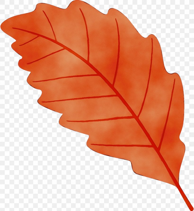 Maple Leaf, PNG, 940x1024px, Watercolor, Black Maple, Deciduous, Flower, Leaf Download Free