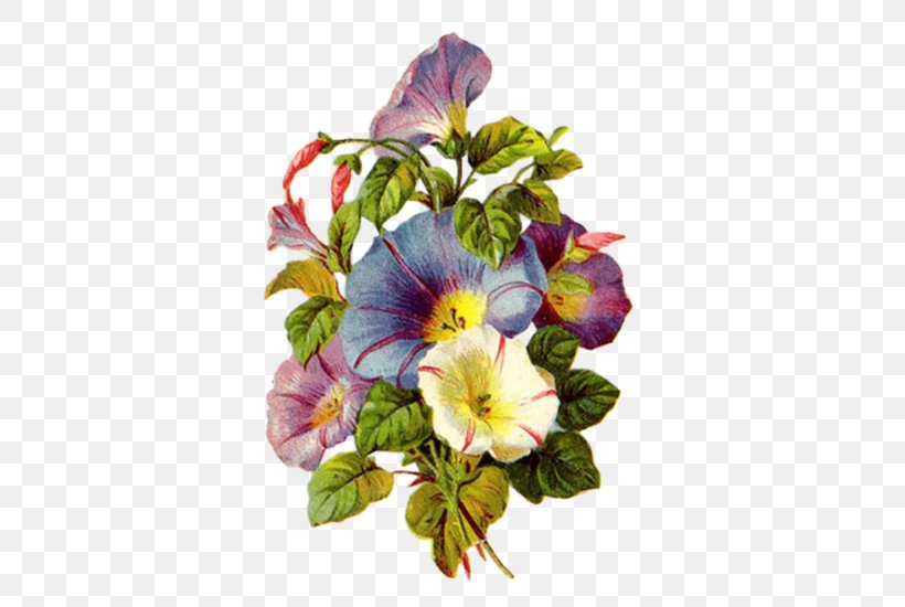 Work Of Art Morning Glory Drawing Painting, PNG, 550x550px, Art, Annual Plant, Cut Flowers, Decoupage, Drawing Download Free