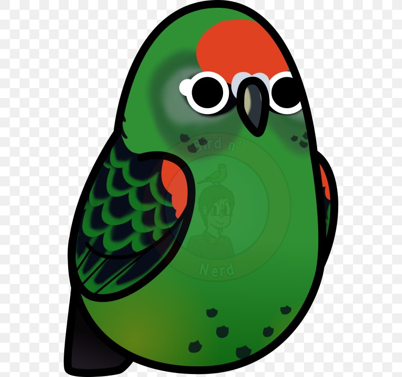 Beak Clip Art Amphibian Green Illustration, PNG, 560x770px, Beak, Amphibian, Bird, Green, Organism Download Free