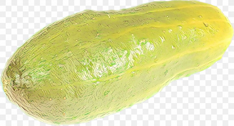 Fruit Cartoon, PNG, 2589x1390px, Pickled Cucumber, Commodity, Cucumber, Food, Fruit Download Free