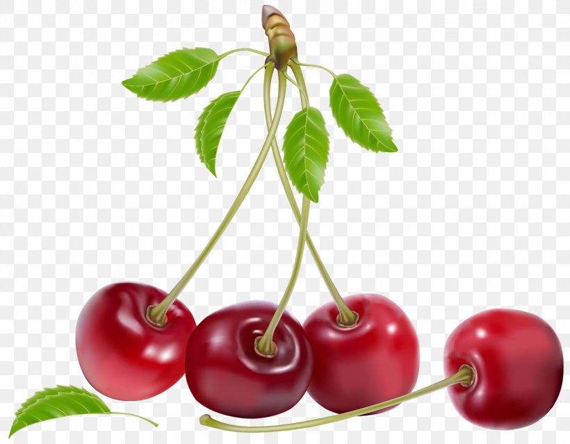 Fruit Cherry Clip Art, PNG, 1532x1195px, Fruit, Acerola, Acerola Family, Berry, Blueberry Download Free