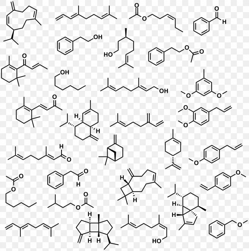 IUPAC Nomenclature Of Organic Chemistry International Union Of Pure And Applied Chemistry Chemical Nomenclature, PNG, 1581x1600px, Chemistry, Amyl Alcohol, Area, Black, Black And White Download Free