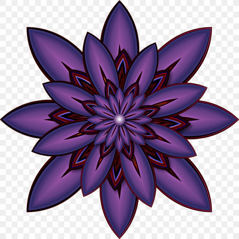 Symmetry Flowering Plant Pattern, PNG, 900x901px, Symmetry, Flora, Flower, Flowering Plant, Petal Download Free