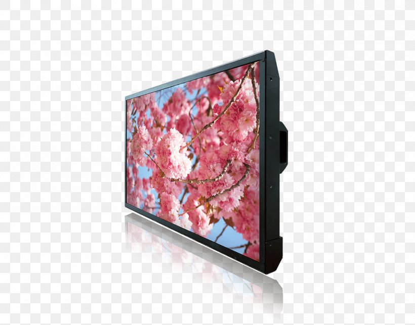 Display Device Liquid-crystal Display Computer Monitors Litemax Electronics Inc. Information, PNG, 1000x785px, Display Device, Brightness, Candela Per Square Meter, Computer Monitors, Digital Signs Download Free