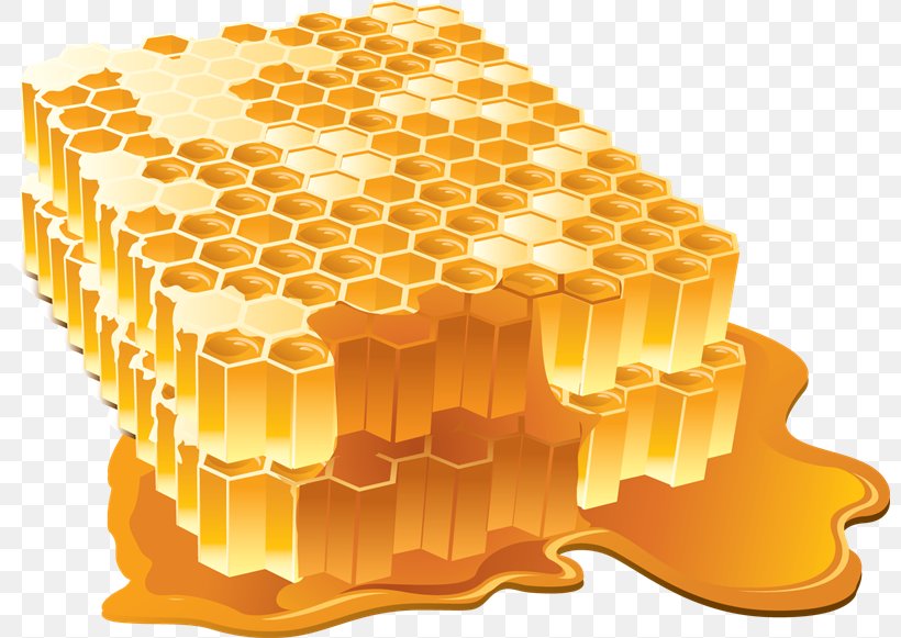 Ebert Honey Company, LLC Bee, PNG, 800x581px, Honey, Bee, Ebert Honey Company Llc, Honey Bee, Honeycomb Download Free