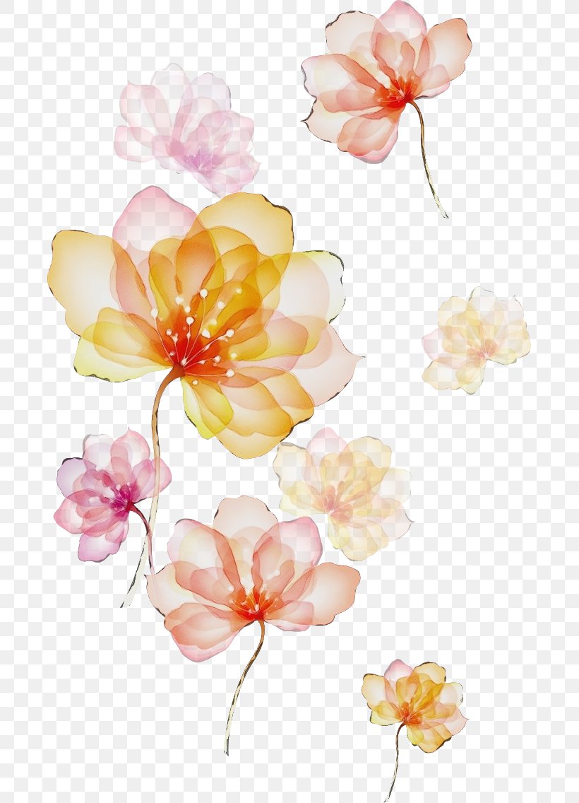 Petal Flower Pink Watercolor Paint Plant, PNG, 685x1136px, Watercolor, Blossom, Cut Flowers, Flower, Paint Download Free