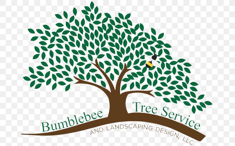 Branch Bumblebee Tree Service & Landscape Design LLC Arborist, PNG, 677x511px, Branch, Arborist, Area, Art, Brand Download Free