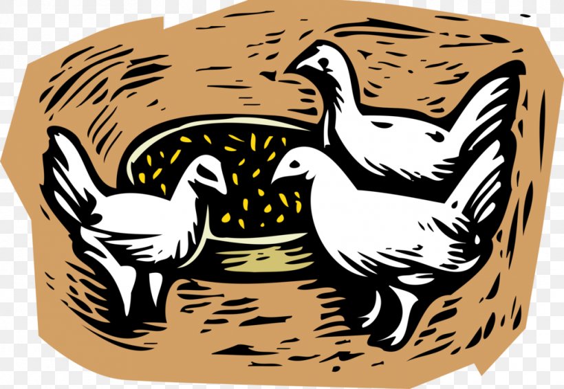 Chicken Clip Art Broiler Illustration Agriculture, PNG, 1013x700px, Chicken, Acute Disease, Agriculture, Animal, Broiler Download Free