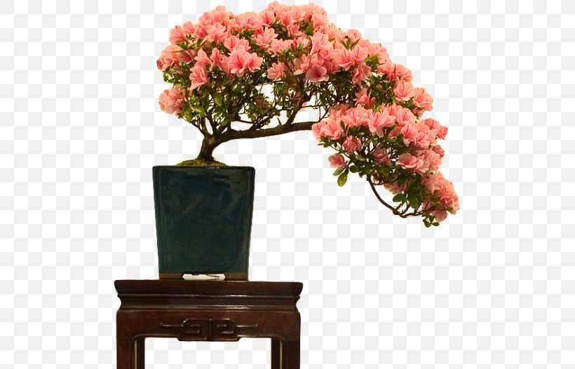 Indoor Bonsai Flowerpot Rhododendron Indicum Tree, PNG, 500x527px, Bonsai, Art, Artificial Flower, Azalea, Cut Flowers Download Free