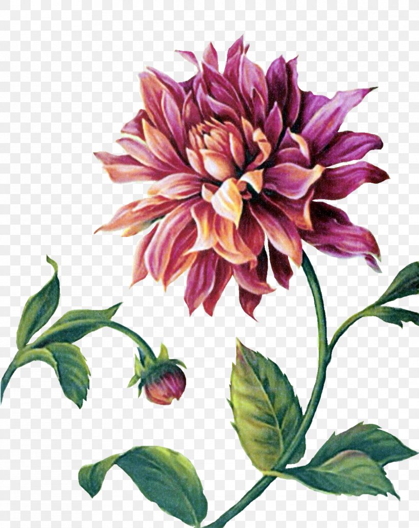 Painting Paper Decoupage Flower, PNG, 1268x1600px, Painting, Annual Plant, Art, Canvas, Dahlia Download Free