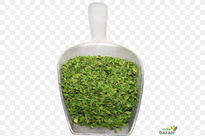 Parsley Greens India Product Vegetable, PNG, 600x543px, Parsley, Basil, Black Pepper, Cardamom, Cargo Download Free