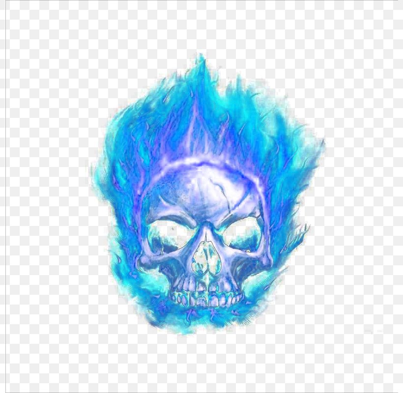 Skull Flame Blue, PNG, 800x800px, Skull, Blue, Bone, Color, Combustion Download Free