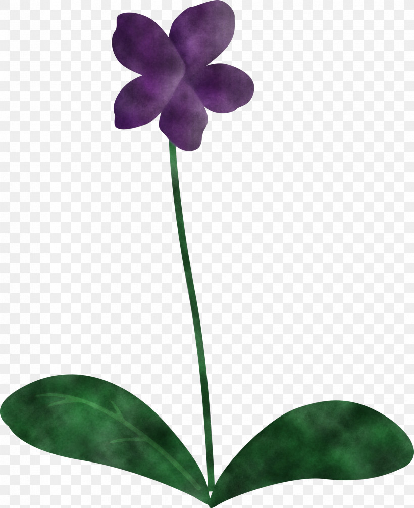 Violet Flower, PNG, 2446x3000px, Violet Flower, Bud, Flora, Flower, Herbaceous Plant Download Free