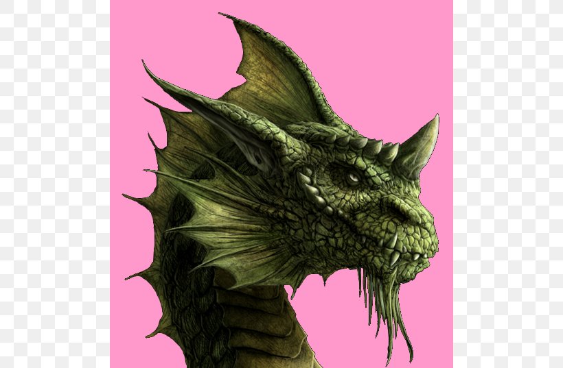 Dragon Of The Lost Sea Brisingr Eragon Inheritance Cycle, PNG, 500x537px, Dragon, Author, Book, Brisingr, Christopher Paolini Download Free