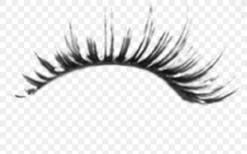 Eyelash Brush Eyebrow, PNG, 1024x640px, Eyelash, Beauty, Black And White, Brush, Cosmetics Download Free