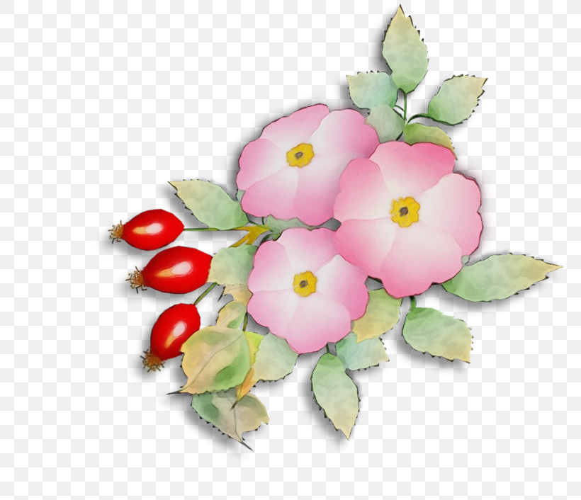 Floral Design, PNG, 810x706px, Watercolor, Biology, Cut Flowers, Floral Design, Flower Download Free