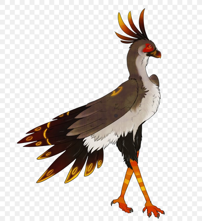 Secretarybird Clip Art, PNG, 752x900px, Bird, Beak, Bird Of Prey, Blog, Chicken Download Free