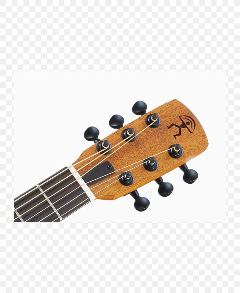 Steel-string Acoustic Guitar Acoustic-electric Guitar Ukulele Bass Guitar, PNG, 726x1000px, Watercolor, Cartoon, Flower, Frame, Heart Download Free