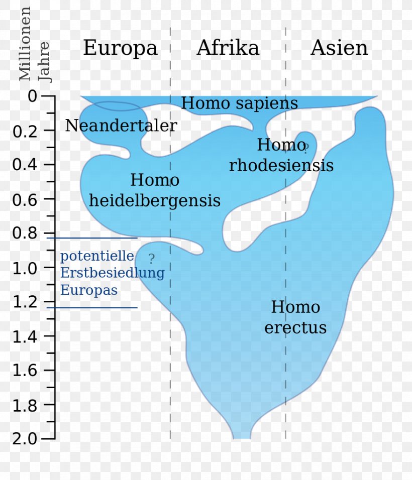 Water Resources Organism Line Map Angle, PNG, 878x1024px, Water Resources, Area, Diagram, Map, Organism Download Free