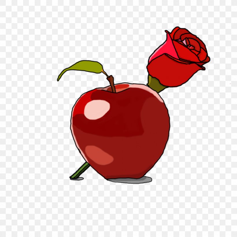 Apple Clip Art, PNG, 1000x1000px, Apple, Flowering Plant, Food, Fruit, Plant Download Free