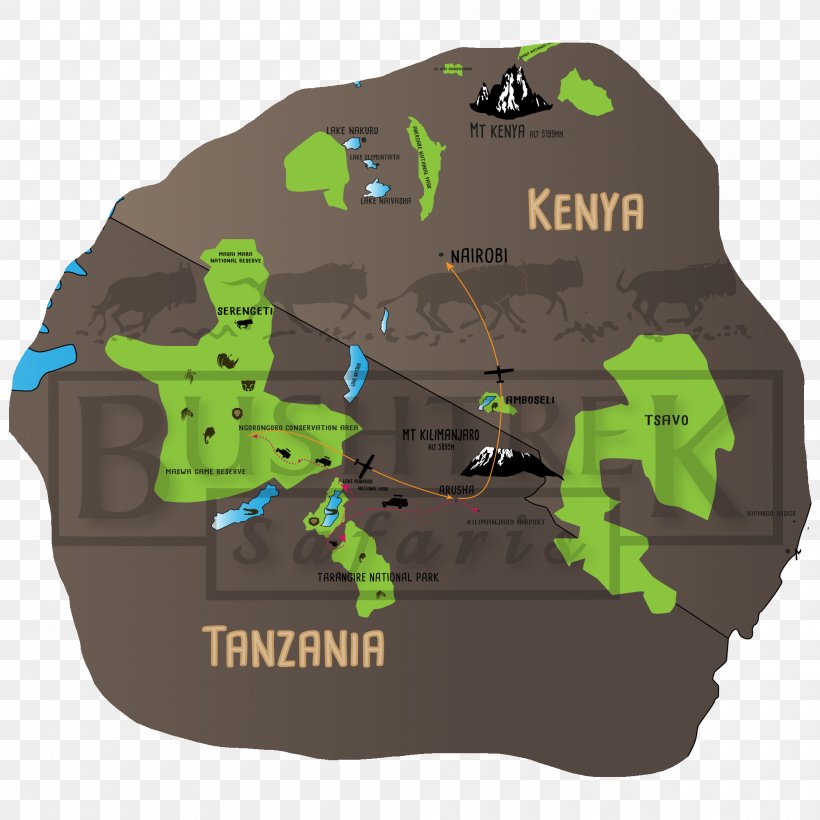 Bwindi Impenetrable National Park Safari Ltd Gorilla Wildlife Travel Itinerary, PNG, 2000x2000px, Bwindi Impenetrable National Park, Book, Ecosystem, Gorilla, Green Download Free