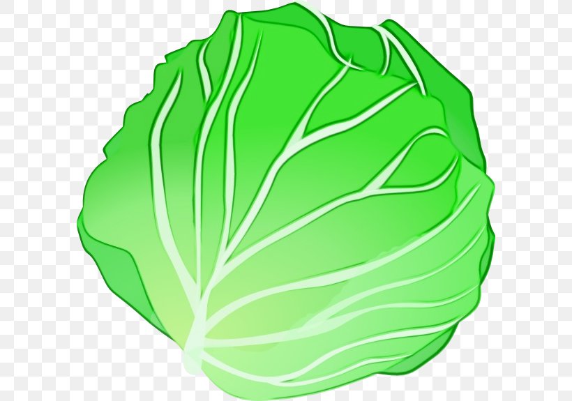 Cabbage Green Leaf Vegetable Wild Cabbage, PNG, 600x575px, Watercolor, Cabbage, Cruciferous Vegetables, Green, Leaf Download Free
