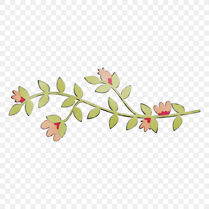 Clip Art Plant Stem Floral Design Leaf, PNG, 1107x1107px, Plant Stem, Blossom, Botany, Branch, Bud Download Free