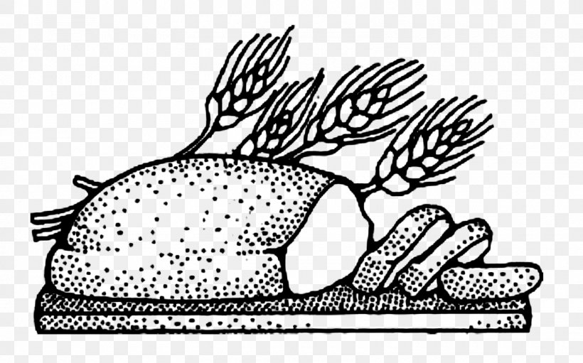 Fish White Bread Rye Bread Clip Art, PNG, 1600x998px, Fish, Area, Art, Artwork, Baking Download Free