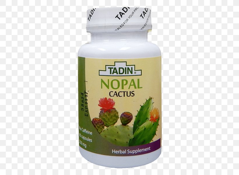 Herbal Tea Nopal Tadin Herb & Tea Co., PNG, 600x600px, Tea, Aloe, Aloe Vera, Cactaceae, Capsule Download Free