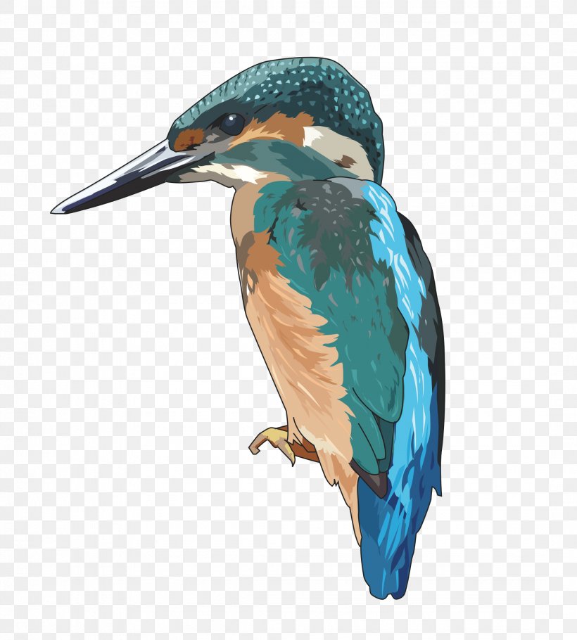 Kingfisher Bird Clip Art, PNG, 2161x2400px, Kingfisher, Beak, Belted Kingfisher, Bird, Coraciiformes Download Free