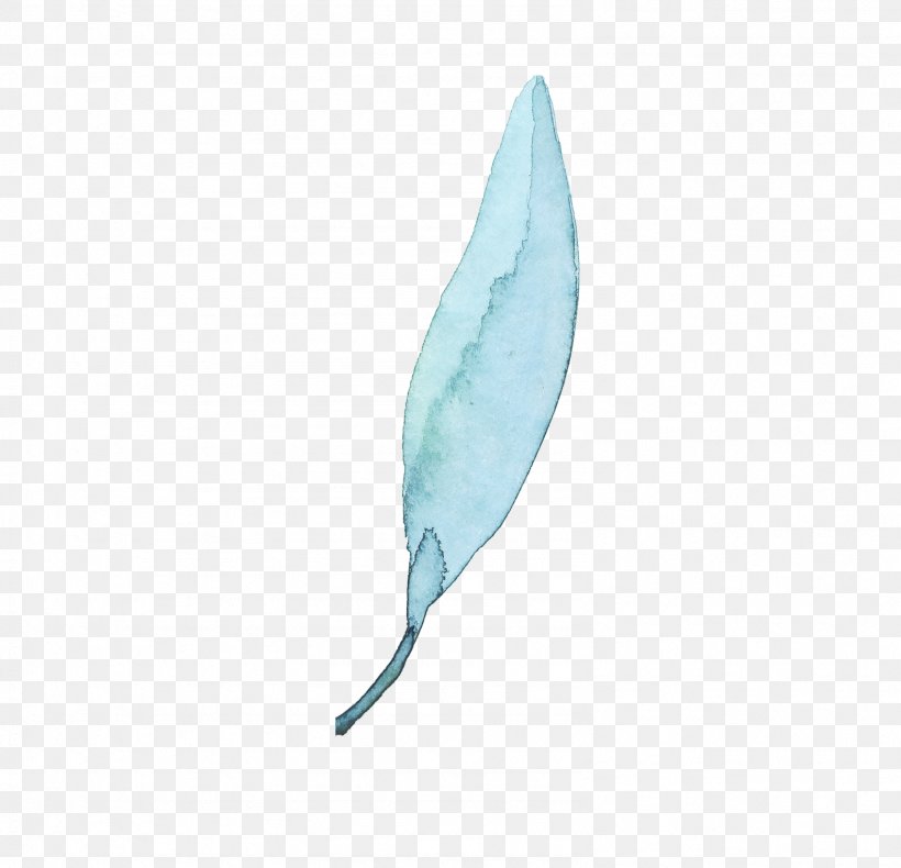 Leaf Feather Euclidean Vector, PNG, 1587x1530px, Leaf, Aqua, Feather, Gratis, Template Download Free