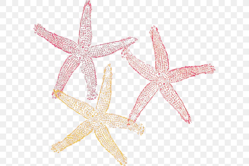 Star Drawing, PNG, 600x547px, Starfish, Cartoon, Drawing, Ochre Sea Star, Pink Download Free