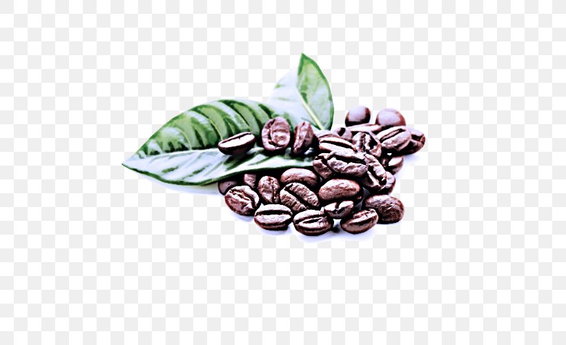 Cocoa Bean Jamaican Blue Mountain Coffee Bean Caffeine Food, PNG, 500x500px, Cocoa Bean, Bean, Caffeine, Food, Jamaican Blue Mountain Coffee Download Free