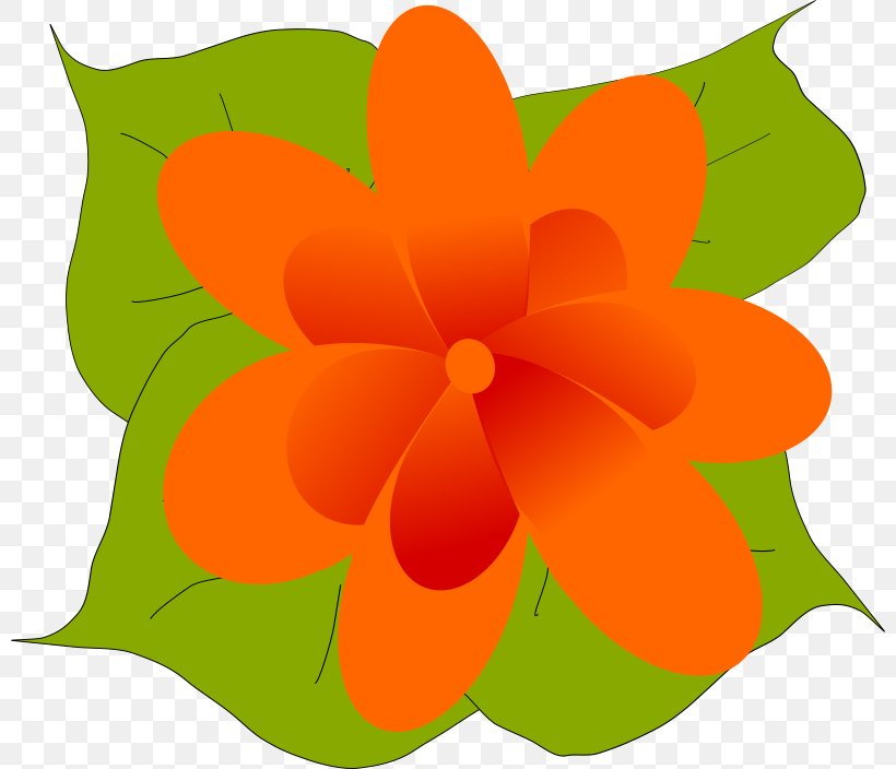 Flower Leaf Clip Art, PNG, 800x704px, Flower, Color, Drawing, Flora, Flowering Plant Download Free