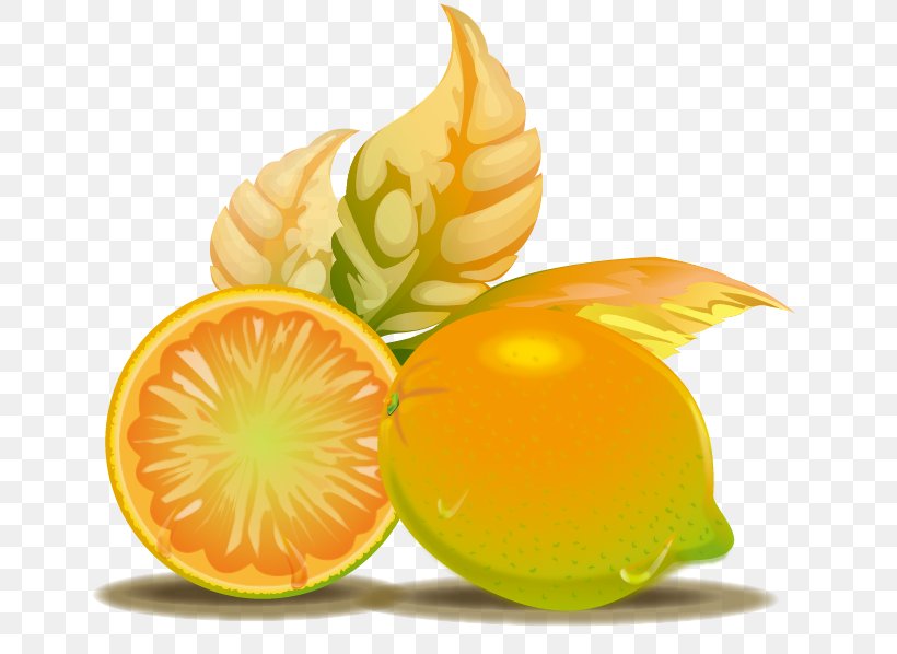 Lemon Drawing, PNG, 651x598px, Lemon, Art, Citric Acid, Computer Graphics, Diet Food Download Free