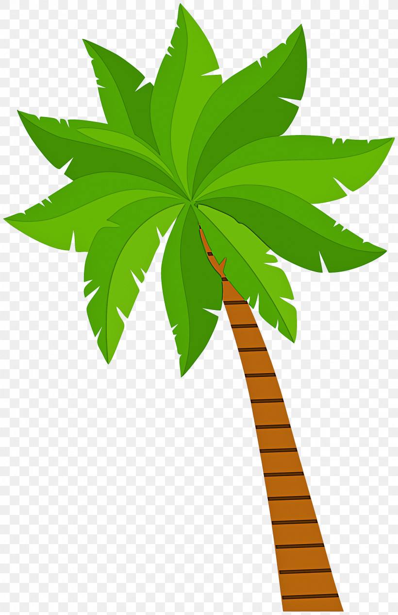 Palm Tree, PNG, 1943x3000px, Leaf, Arecales, Flower, Green, Hemp Download Free