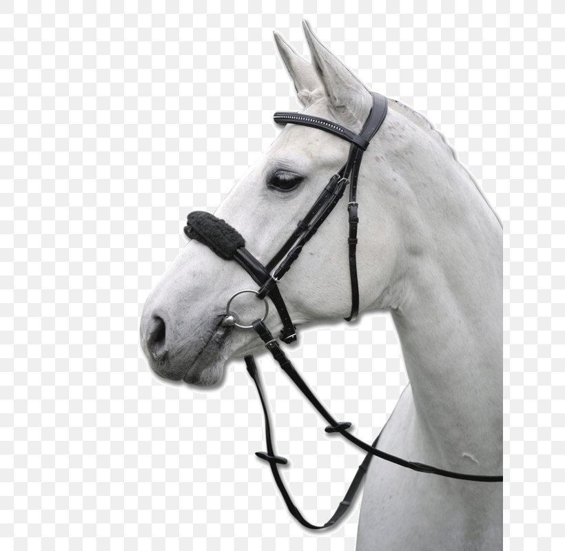 Reitsport Schill Black Pony Mustang Bridle, PNG, 641x800px, Black, Black And White, Bridle, Calais, Color Download Free