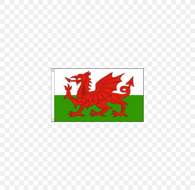 St Davids Cardiff Saint David's Day Welsh, PNG, 800x800px, St Davids, Area, Brand, Cardiff, Flag Of Saint David Download Free
