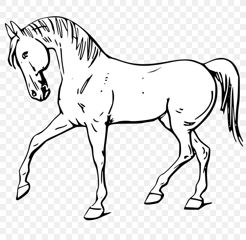 horse black and white clipart