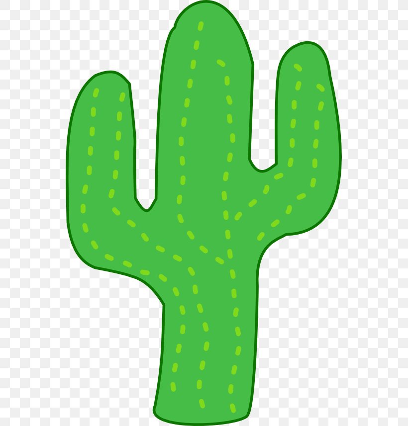 Cactaceae Barrel Cactus Free Content Clip Art, PNG, 555x857px, Cactaceae, Area, Barrel Cactus, Cactus, Cartoon Download Free