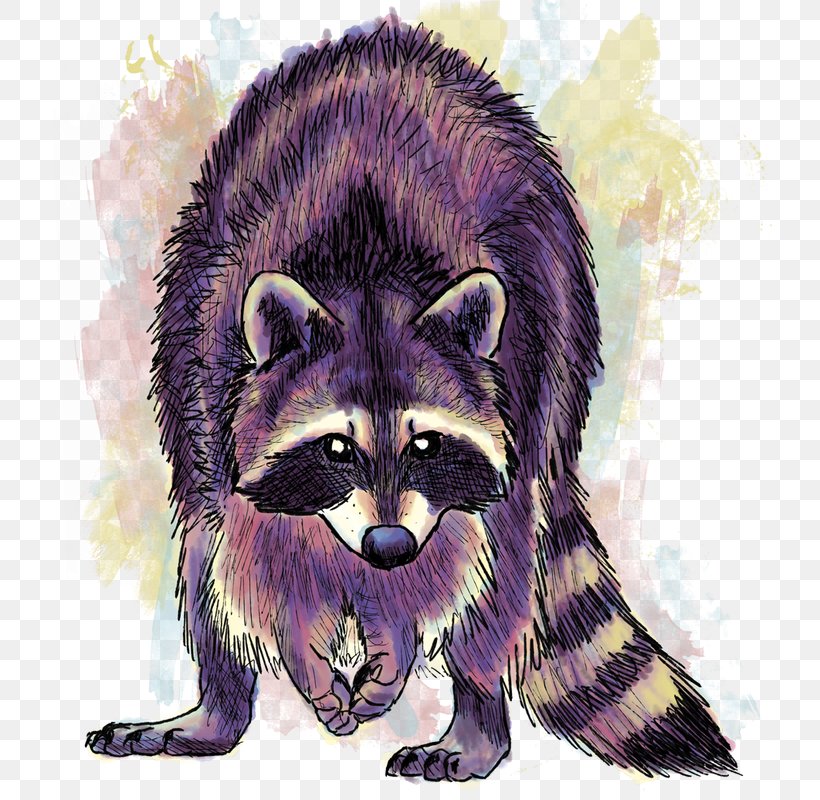 Raccoon City Gray Wolf Drawing, PNG, 772x800px, Raccoon, Animal, Art, Bear, Carnivoran Download Free