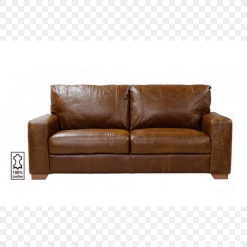 Sofa Bed Leather Couch Furniture Cushion, PNG, 1200x1200px, Sofa Bed, Arm, Bed, Brown, Couch Download Free