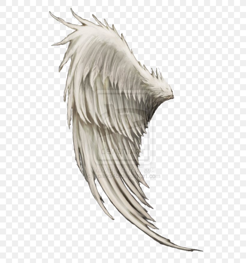 Wing Angel Clip Art, PNG, 600x875px, Wing, Angel, Beak, Bird Of Prey, Black And White Download Free