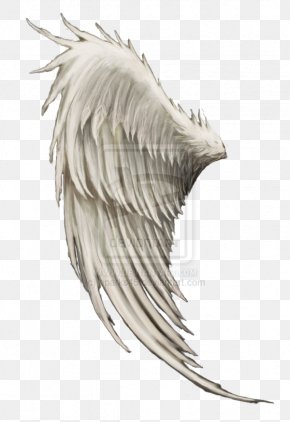 angel wings png clipart preschool