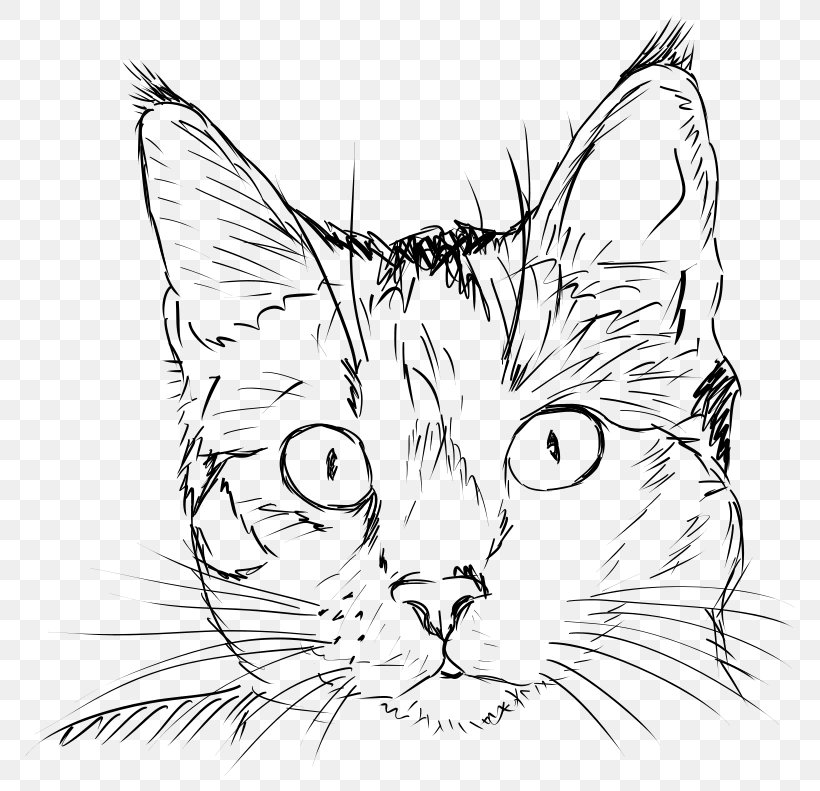 Cat Kitten Drawing Clip Art, PNG, 800x791px, Cat, Artwork, Black, Black And White, Black Cat Download Free