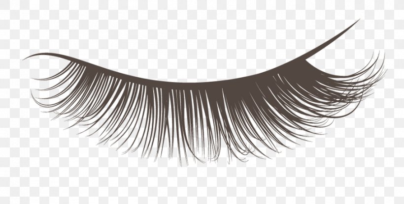 Eyelash Extensions Cosmetics Mascara, PNG, 907x460px, Eyelash Extensions, Adhesive, Artificial Hair Integrations, Beauty, Black And White Download Free