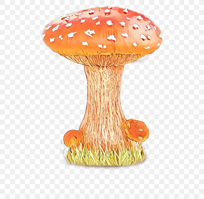 Mushroom Orange S.A. Table, PNG, 800x800px, Mushroom, Agaric, Agaricaceae, Agaricomycetes, Edible Mushroom Download Free
